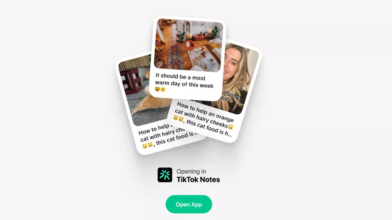 'TikTok Notes’ Is TikTok's Latest Swipe at Instagram