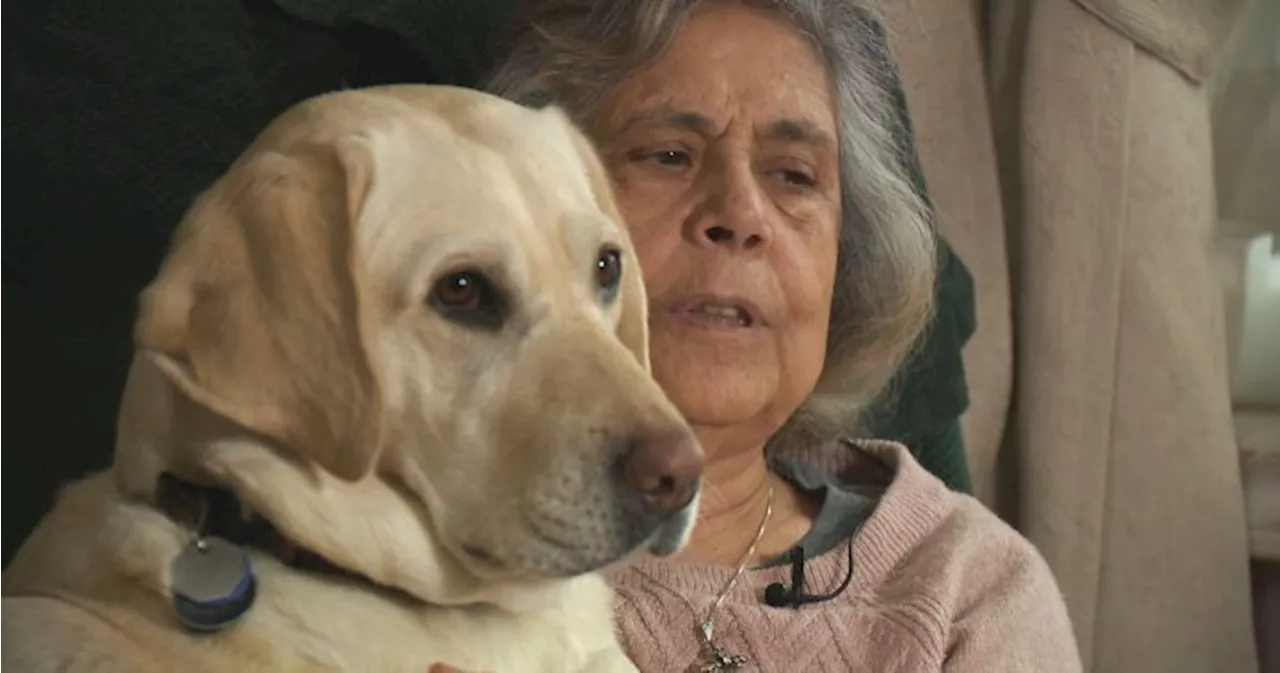 Maple Ridge Woman Claims Discrimination After Taxi Driver Refuses Fare Due to Service Dog