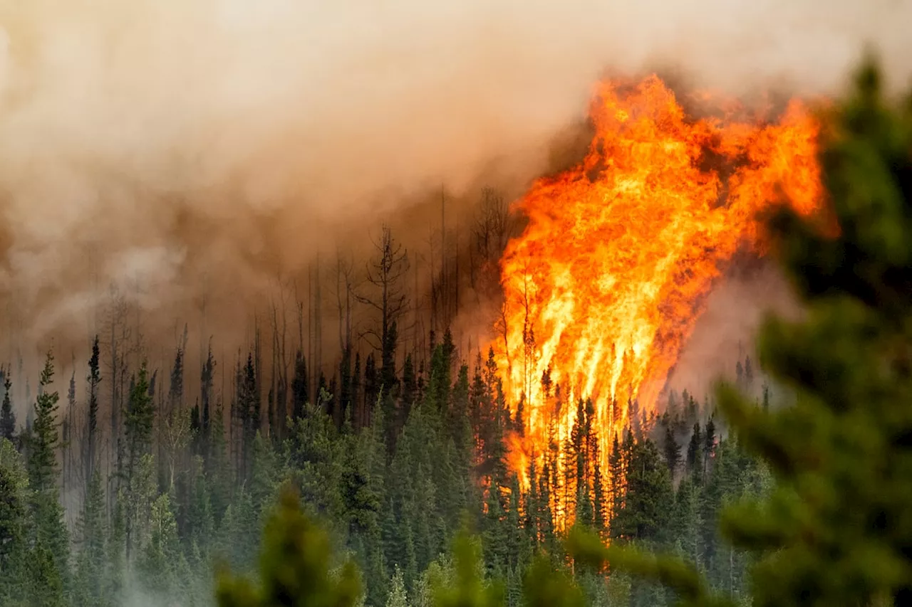 Canadian energy producers say they are prepared for 2024 drought, wildfire risks