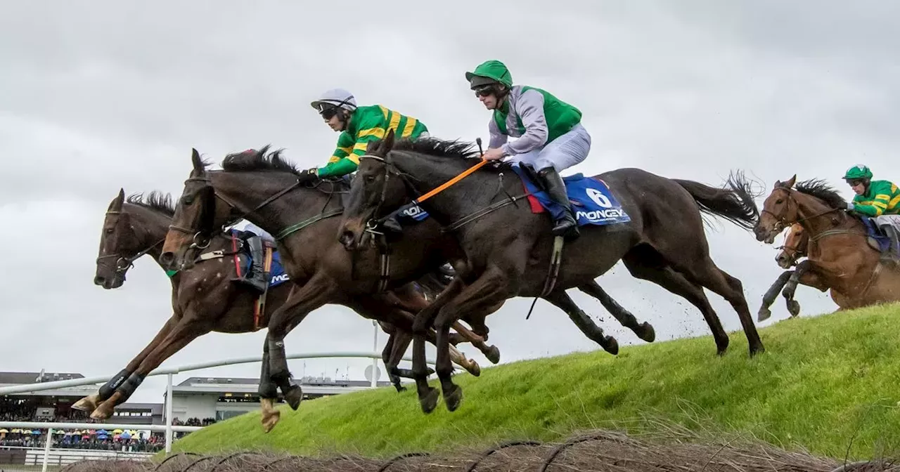 Horse racing bosses announce major changes to 2024 Punchestown Racing Festival