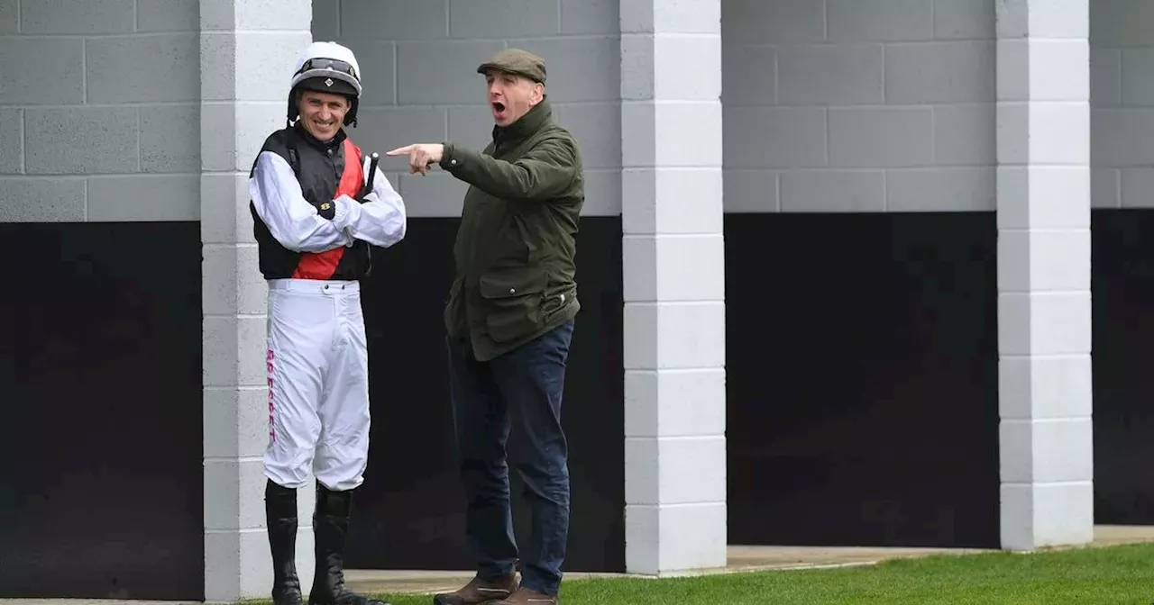 Irish jockey banned and trainer fined after Harry Redknapp horse finishes second