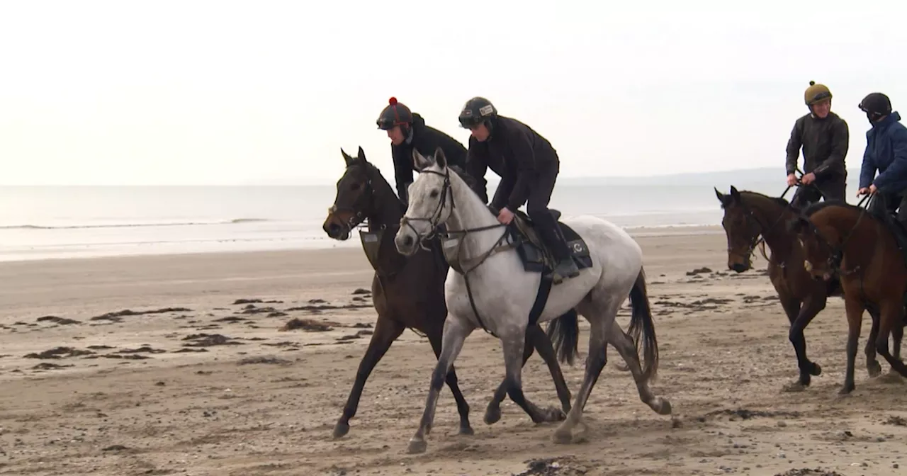 Vanillier enjoys beach trip ahead of Randox Grand National