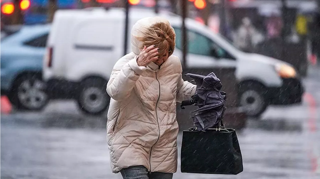 Городские службы Москвы перевели в режим повышенной готовности из-за непогоды