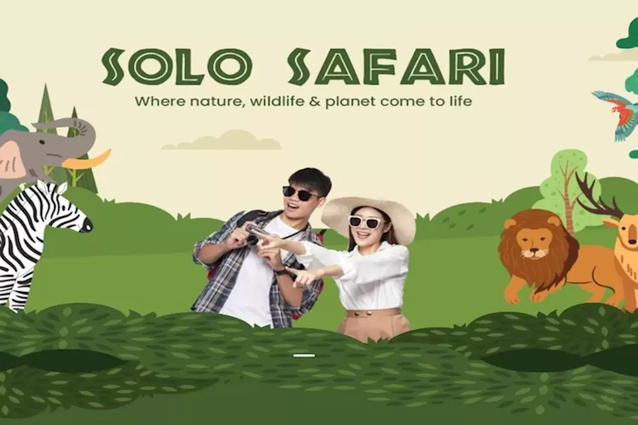 Hadir Dengan Konsep Baru, Berikut Harga Tiket dan Jam Operasional Solo Safari Terbaru