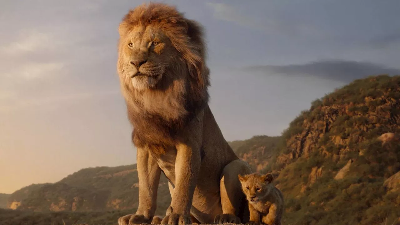 Ungewöhnlichster Disney-Film seit Langem: Erstes Bild zu neuem „König der Löwen“ enthüllt