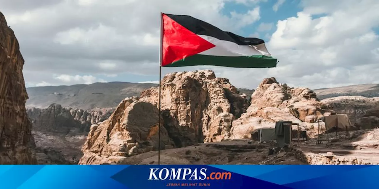 Menlu Martin: Irlandia Siap Akui Negara Palestina