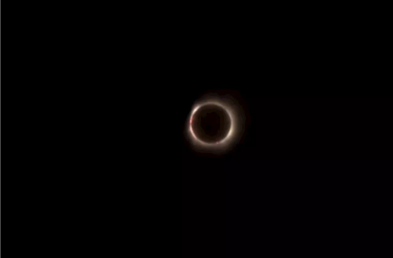How South Texas shared total solar eclipse experiences on social media