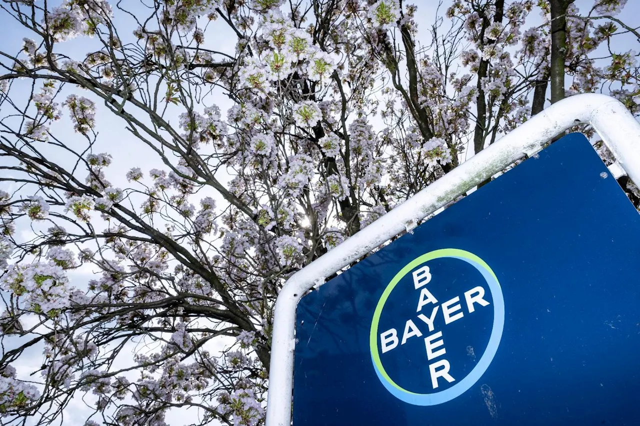 Chez Bayer, comment l'IA bouleverse la recherche des pesticides