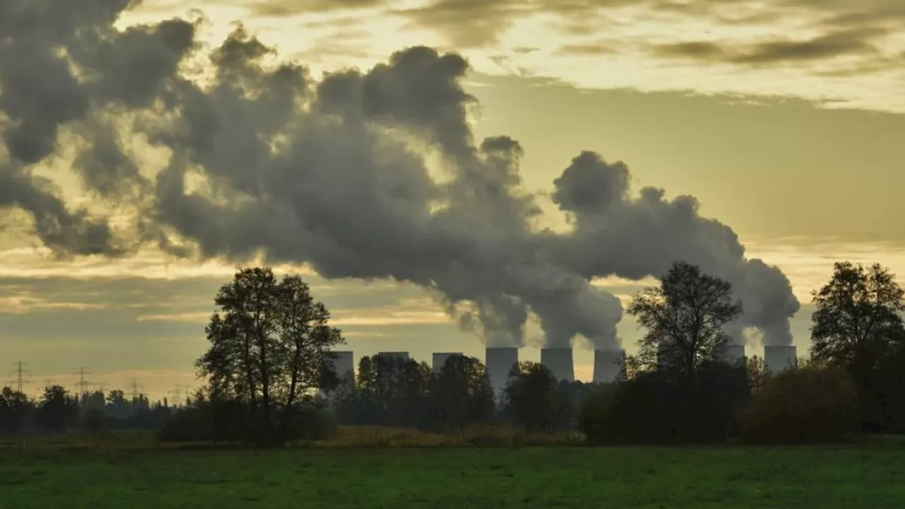 Sentencia histórica: Estado suizo condenado por falta de acción contra el cambio climático