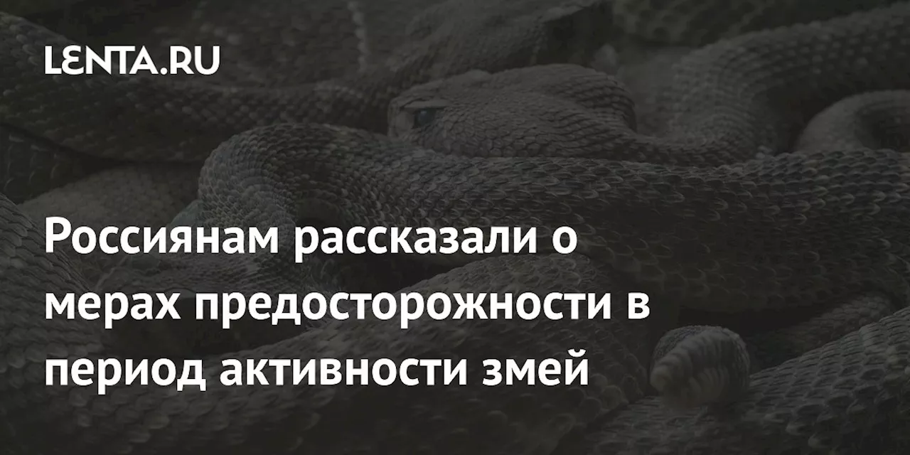 Россиянам рассказали о мерах предосторожности в период активности змей