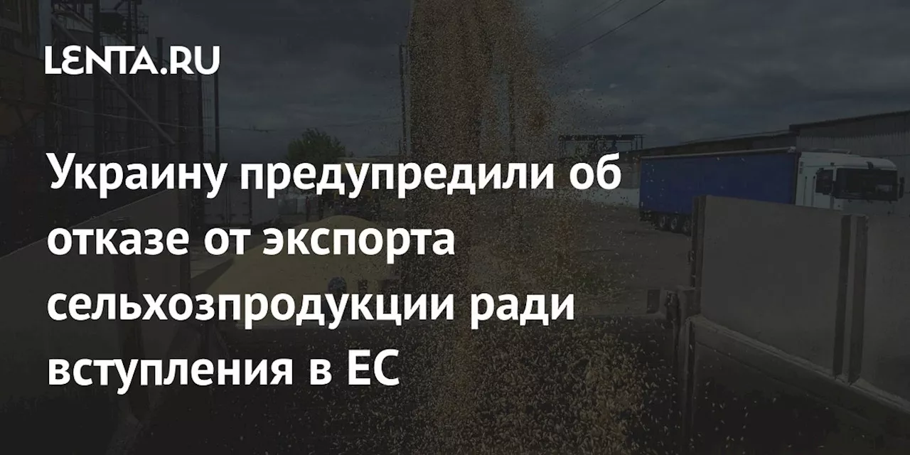 Украину предупредили об отказе от экспорта сельхозпродукции ради вступления в ЕС