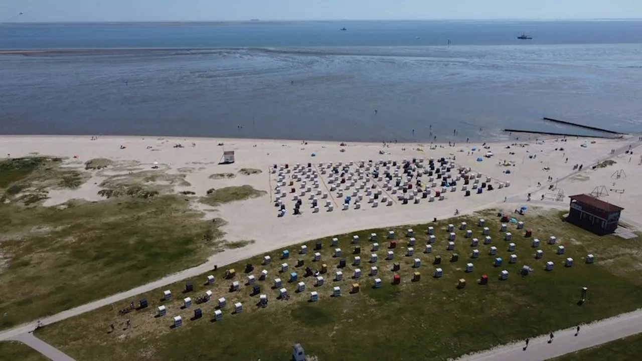 Zugezogener realisiert das Schönste an Norddeutschland: Nach drei Jahren machte es Klick