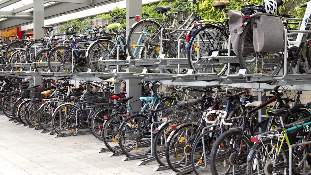 „Alltagstaugliche Fahrräder werden stark nachgefragt“