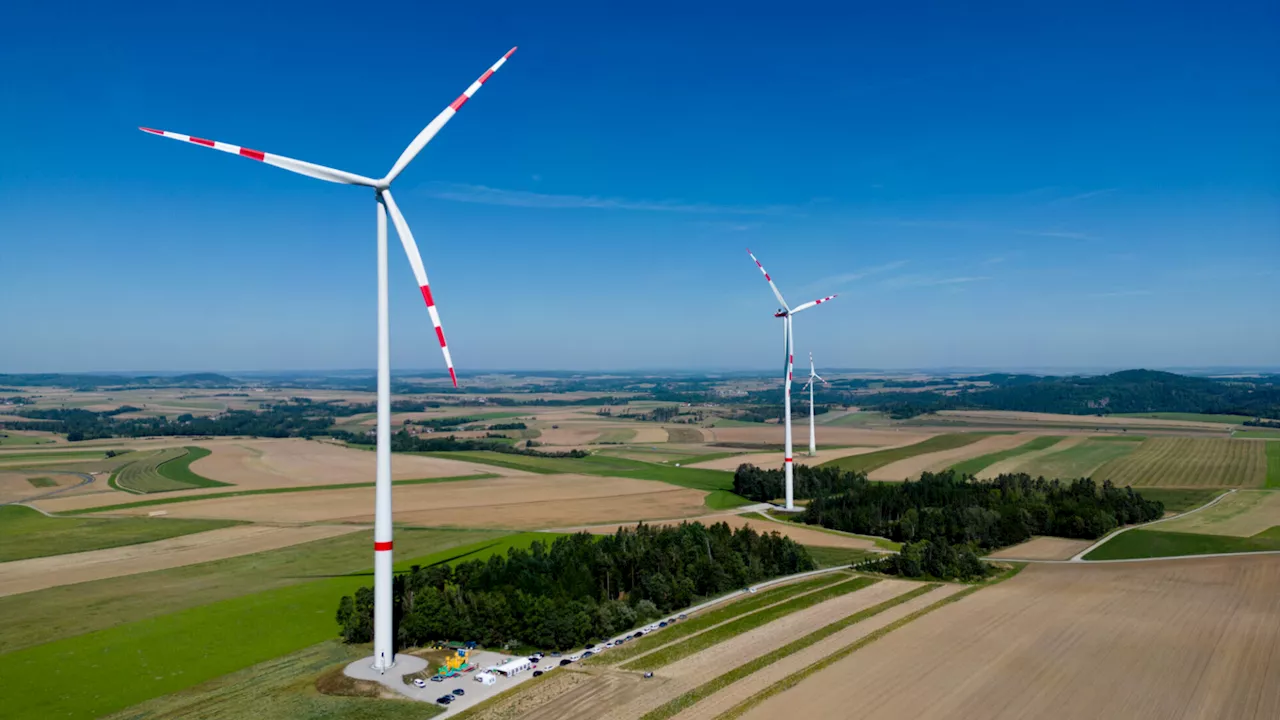 Windräder im Check: Sind sie gefährlich, ineffizient und schädlich?