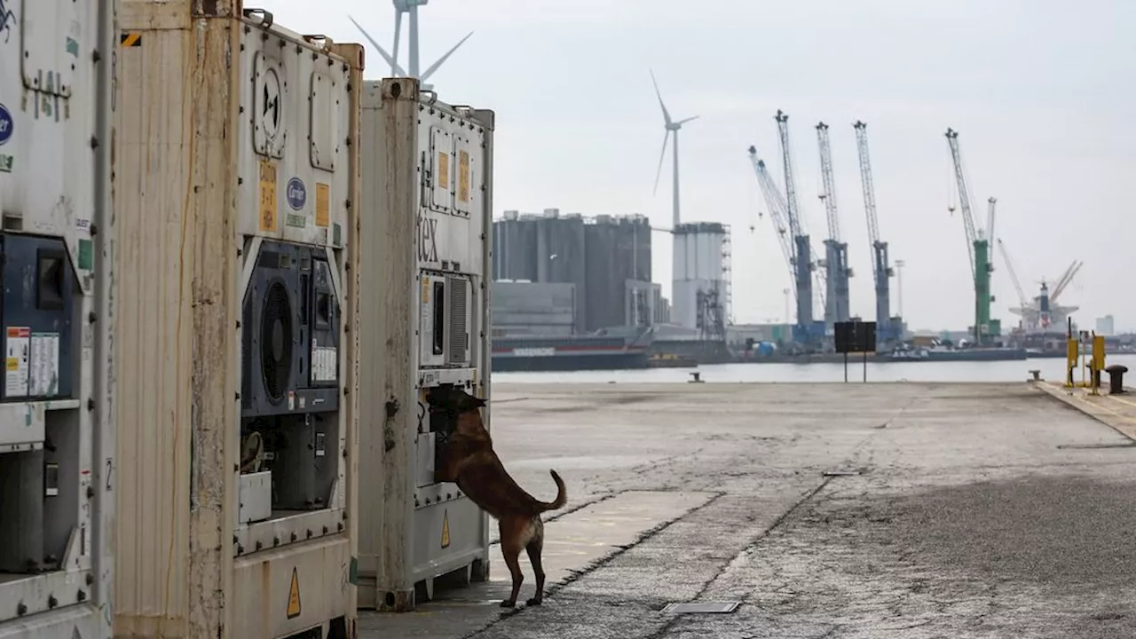 Nederlanders veroordeeld voor aanslagen in Antwerpen