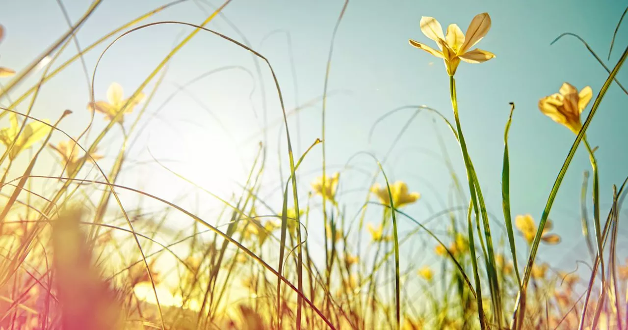 Hottest month record broken for 10th time in a row in March