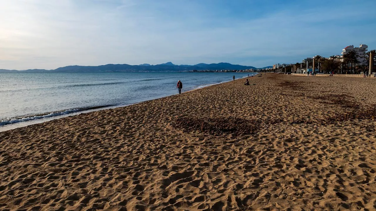 Justiz ordnet U-Haft an: Vier Italiener auf Mallorca wegen Vergewaltigung festgenommen