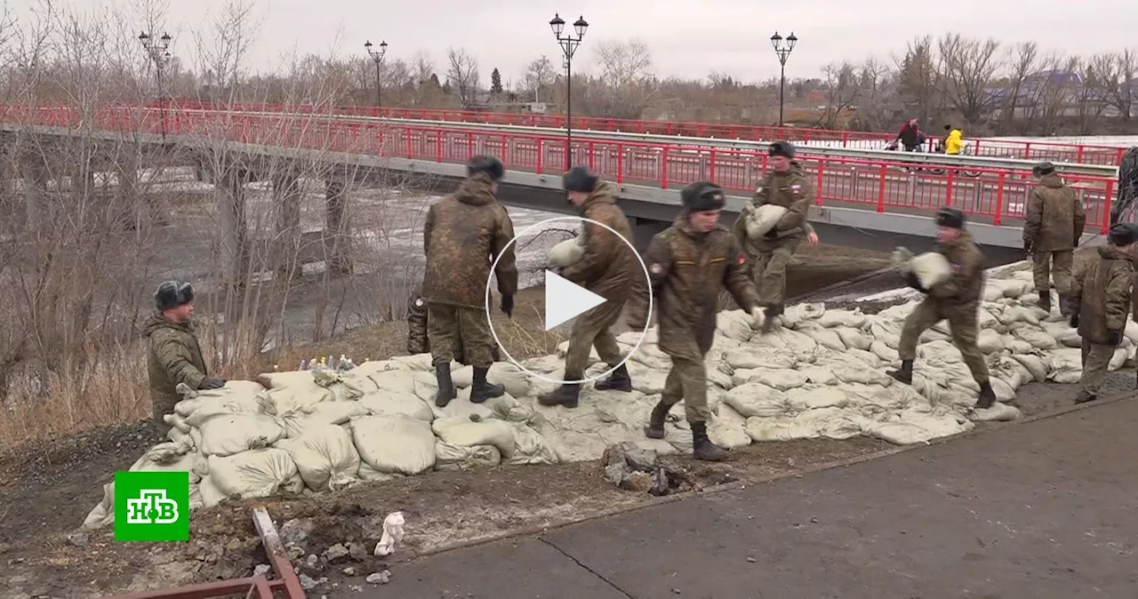 Вода наступает: в Курганской области звук сирен призывает жителей к эвакуации