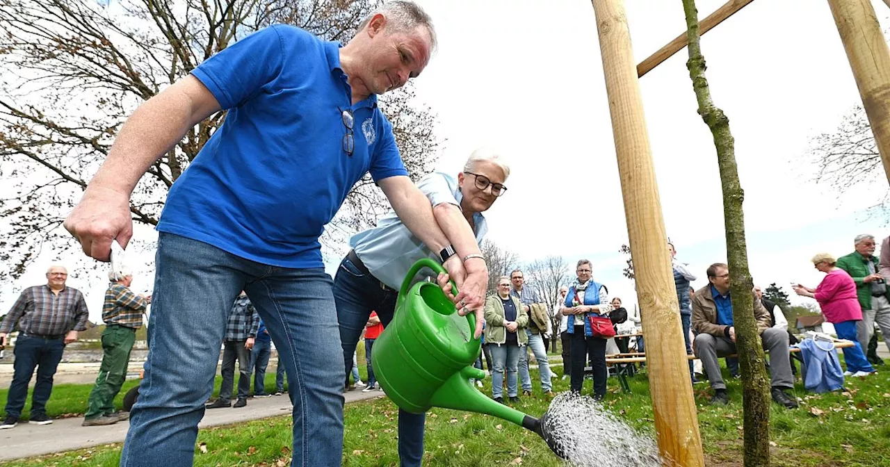 Warum das Höxteraner Königspaar eine Eiche pflanzt