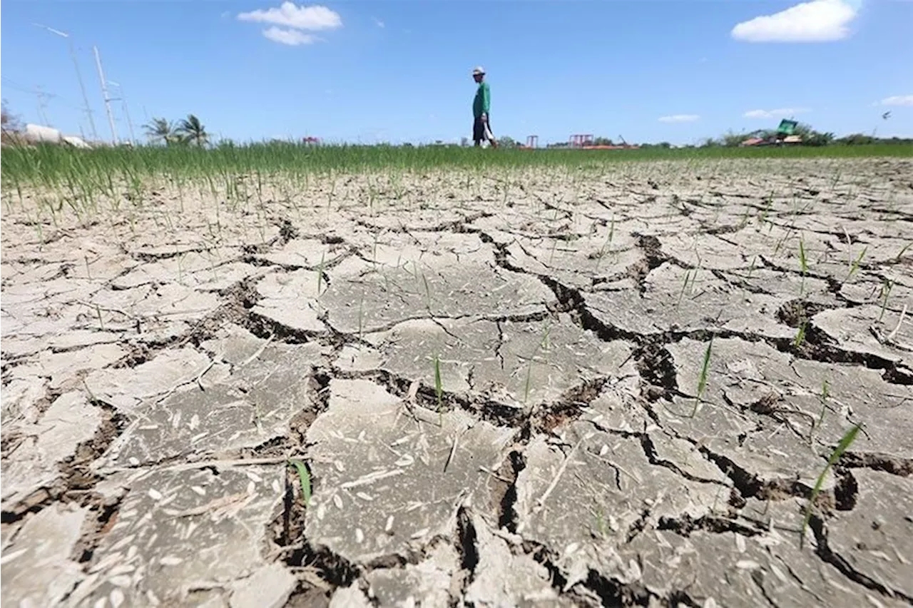 31 provinces now affected by drought