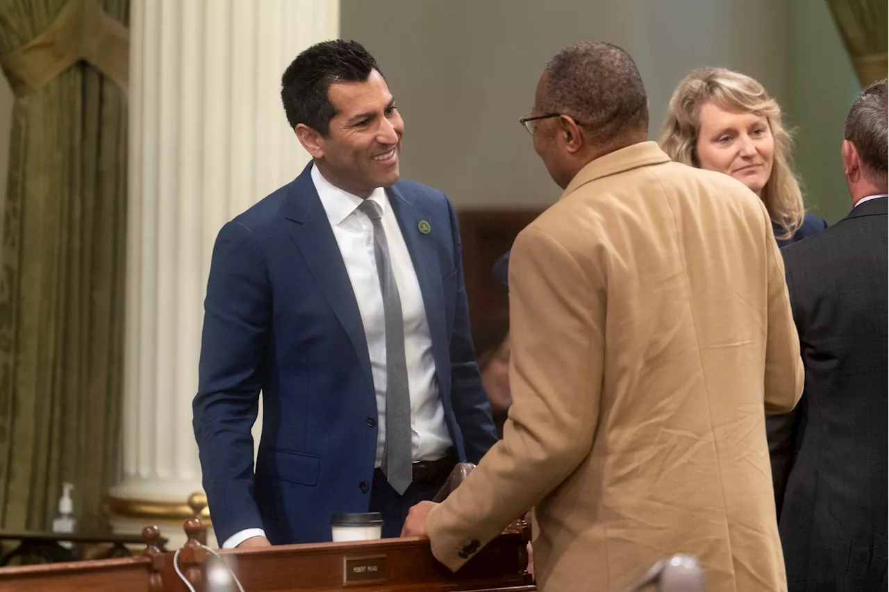 California Democrats bring down the hammer on crime — or try to