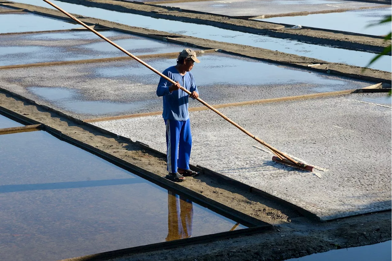 Salt or mangroves? Gov’t to evaluate ‘beneficial use’ of abandoned fish ponds