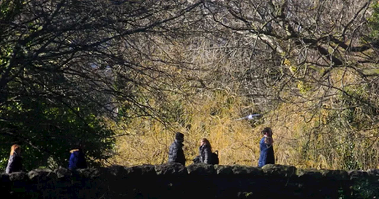 Met Eireann confirms which area will be warmest as temperatures rise to 18C