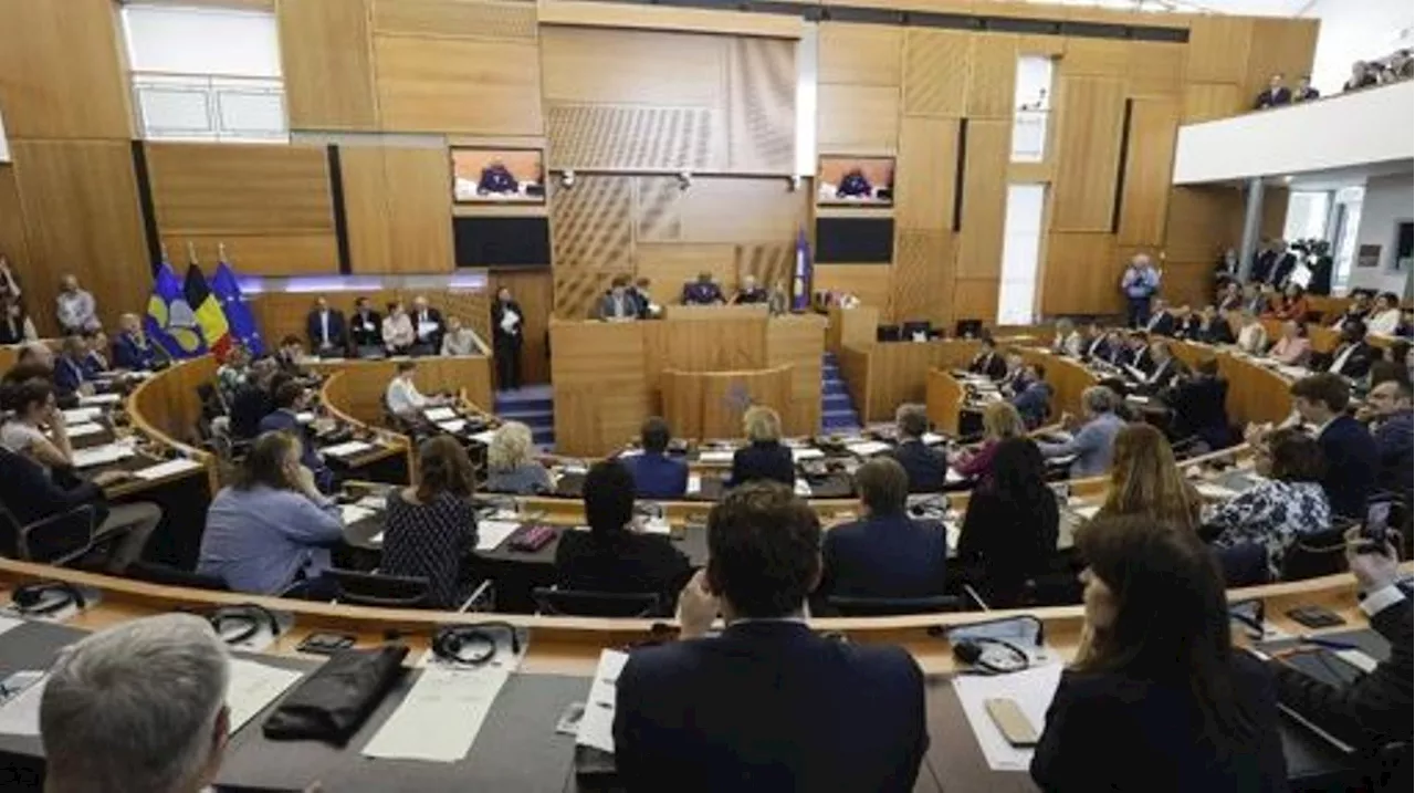 Code du bien-être animal : coup de force pour faire voter le texte au parlement bruxellois