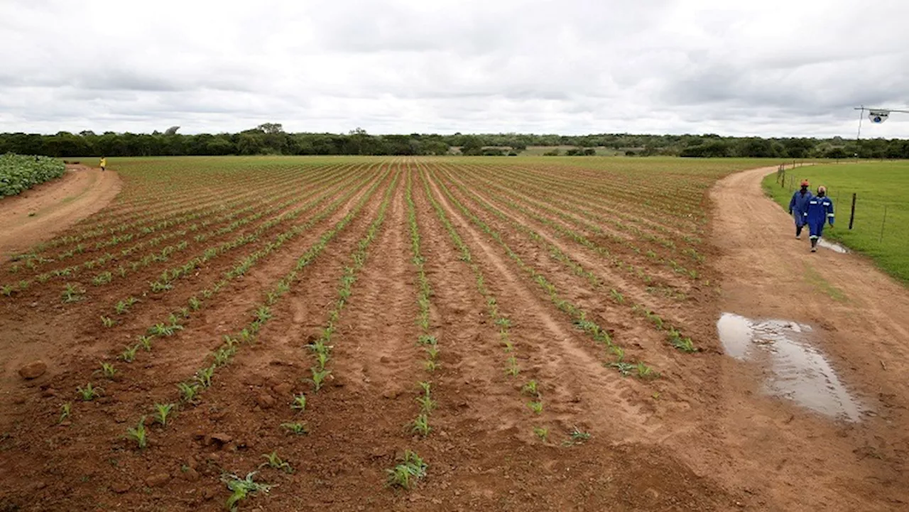 UN Office expresses concern over El Nino impact in Southern Africa - SABC News