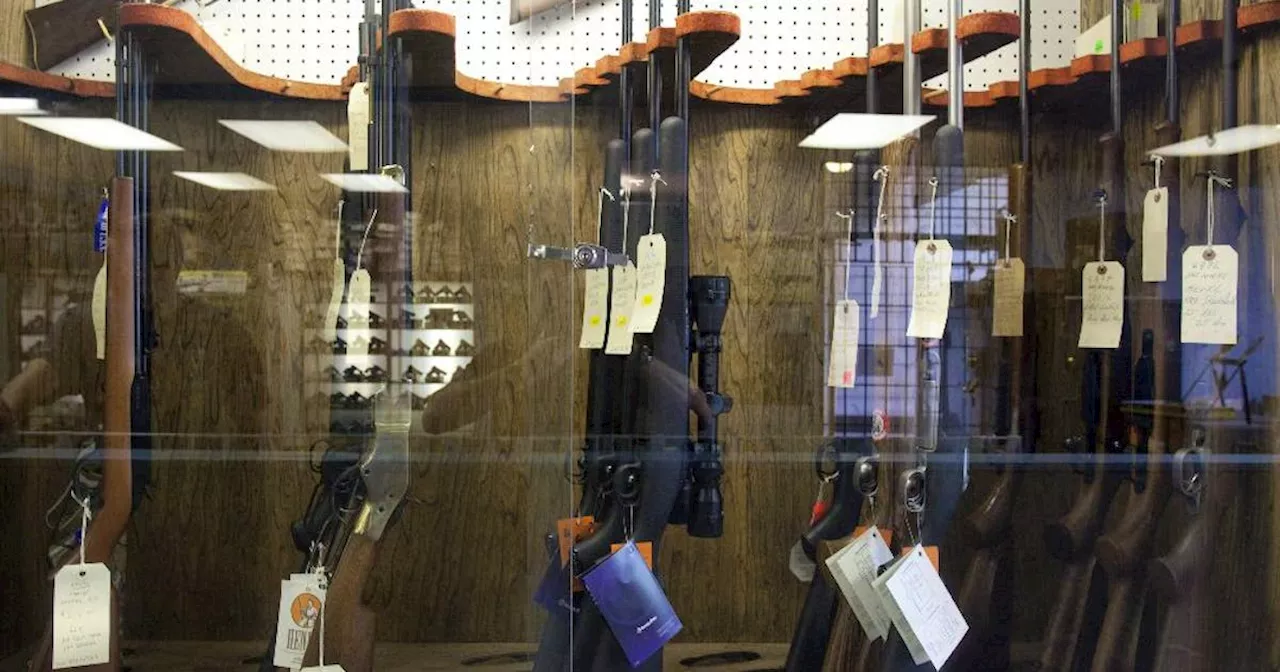 Government Faces Challenges with Gun Buyback Program