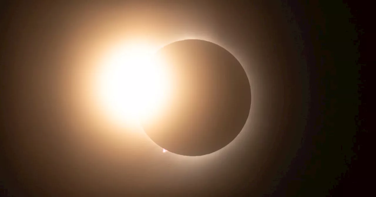 'Worth the visit': Solar eclipse in northern Cape Breton exceeded expectations, visitors say