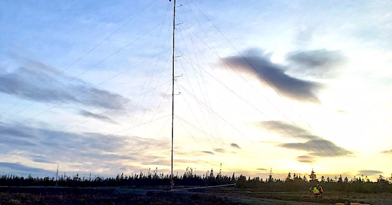 ‘You just took the wind out of my sails,’ says Mainland woman shocked by province’s approval of World Energy GH2’s wind energy project