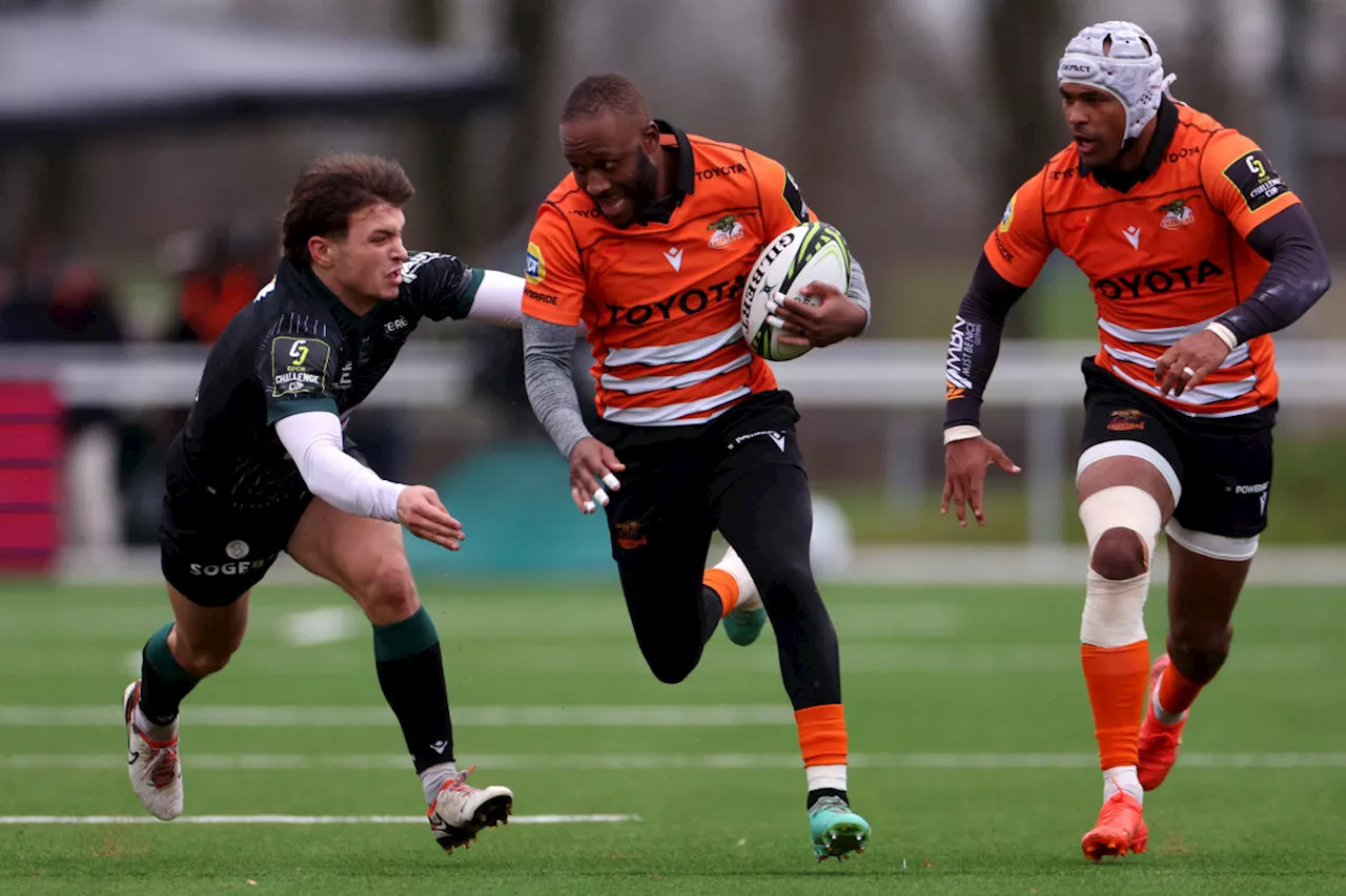 Cheetahs' Lack of Regular European Games Cost Them in Challenge Cup Playoffs