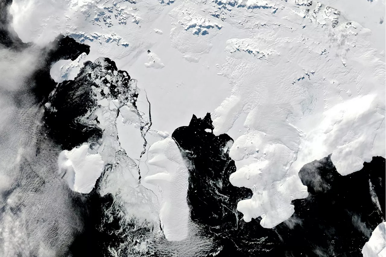 Wilkins Ice Shelf on the Edge As Scientists Race To Understand