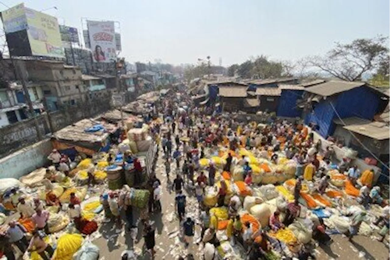 インドで若者の失業が深刻、背景にあるのは―独メディア（2024年4月10日）｜BIGLOBEニュース