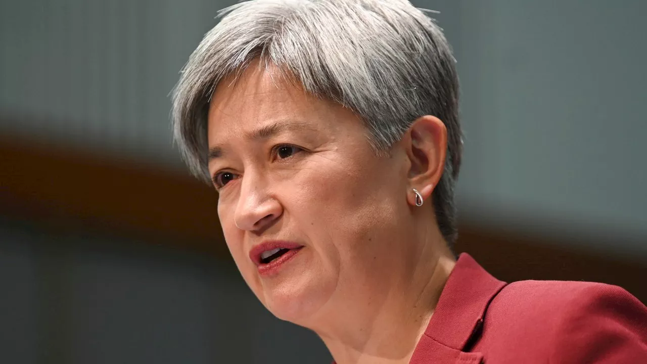 Wong endorses two-state solution between Israel and Palestine