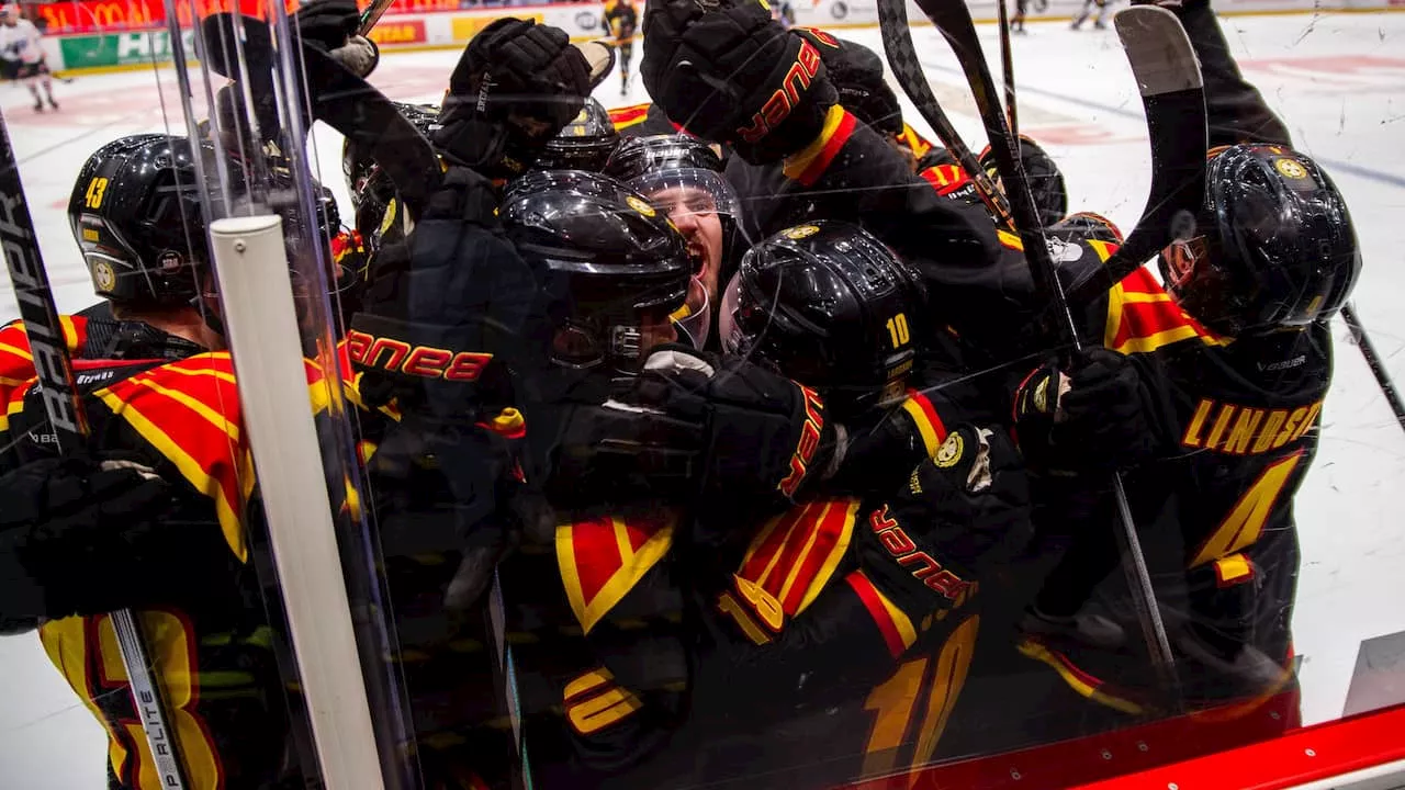 Brynäs klart för final i hockeyallsvenskan slutspelet