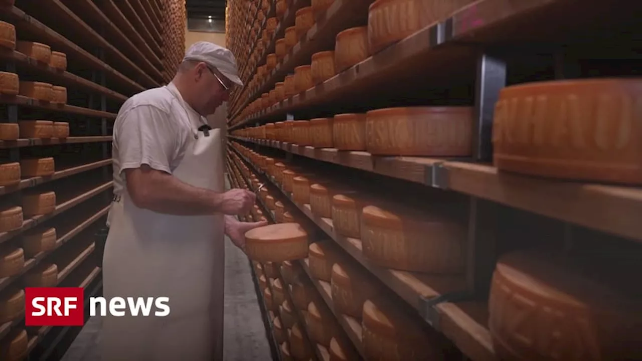 Dieser Emmentaler Käser ist vierfacher Weltmeister