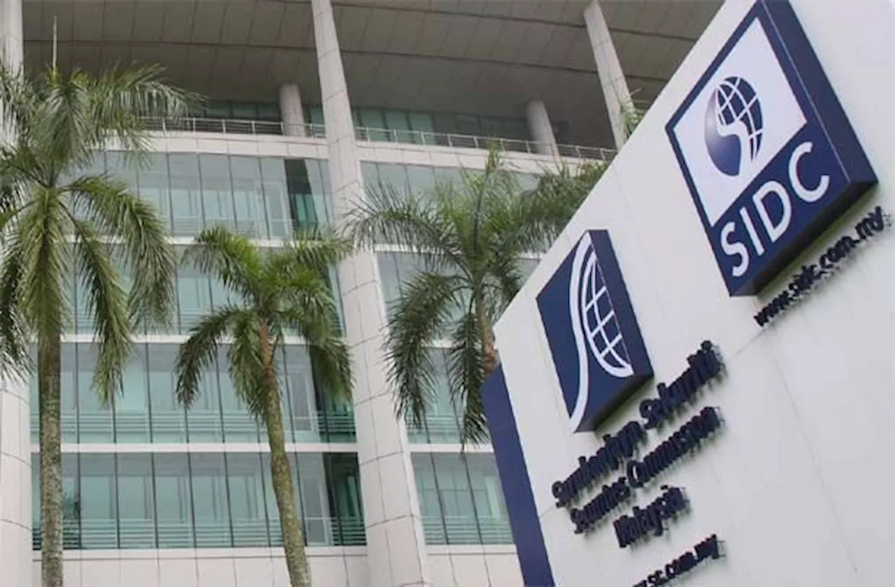 SC revokes financial planner's licence for false declaration