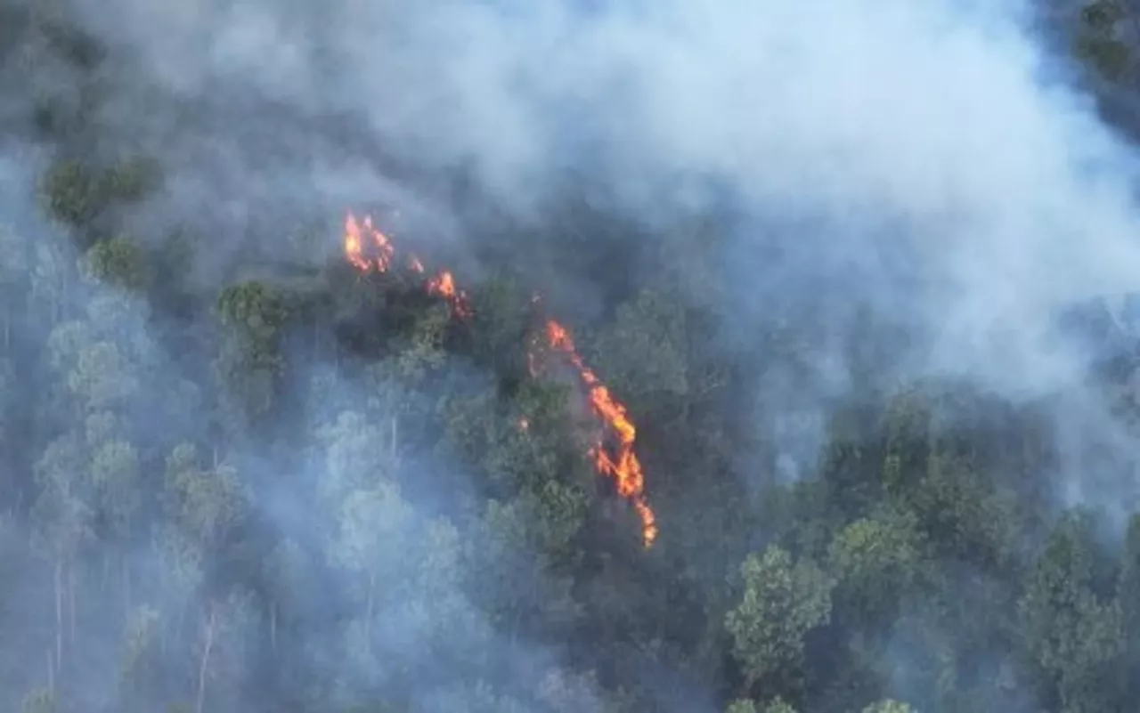 More wildfires reported in Negros Oriental