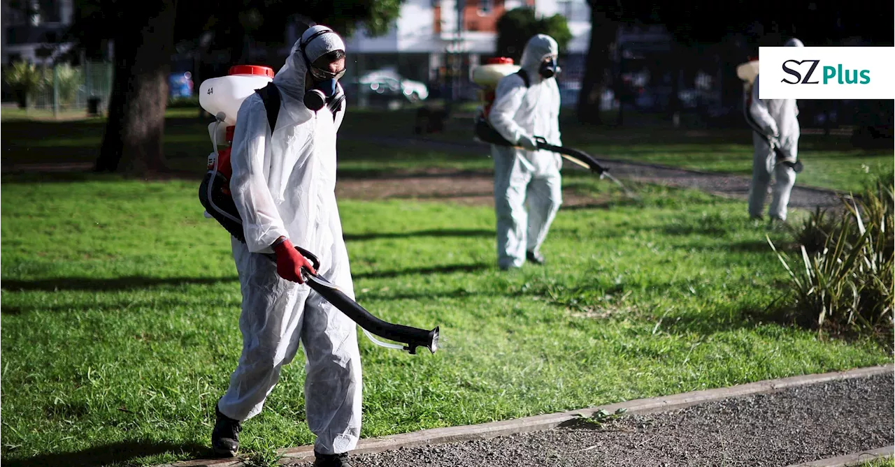 Dengue-Ausbruch in Argentinien: Javier Milei juckt’s nicht