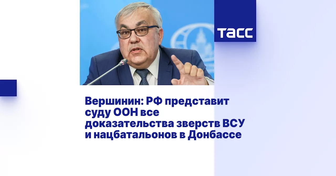 Вершинин: РФ представит суду ООН все доказательства зверств ВСУ и нацбатальонов в Донбассе