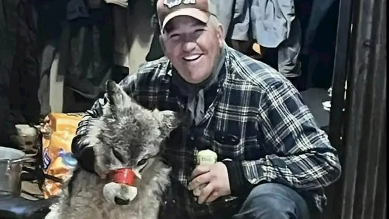 Cruel hunter parades tortured wolf with TAPE around its mouth before taking wounded animal to bar &...