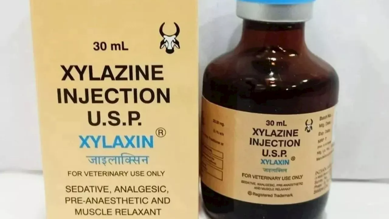 Flesh-eating ‘zombie’ drug Xylazine found in counterfeit painkillers and vapes after infiltrating UK’s drug...