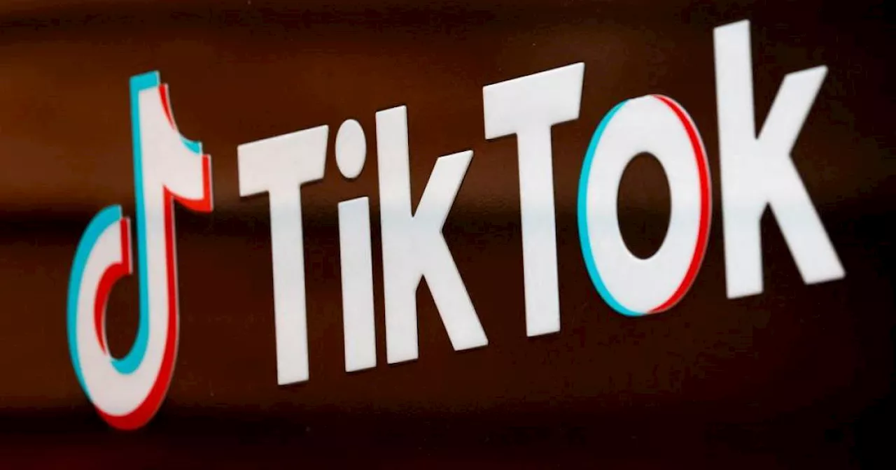 TikTok, META perlu tingkatkan usaha pantau kandungan memudaratkan