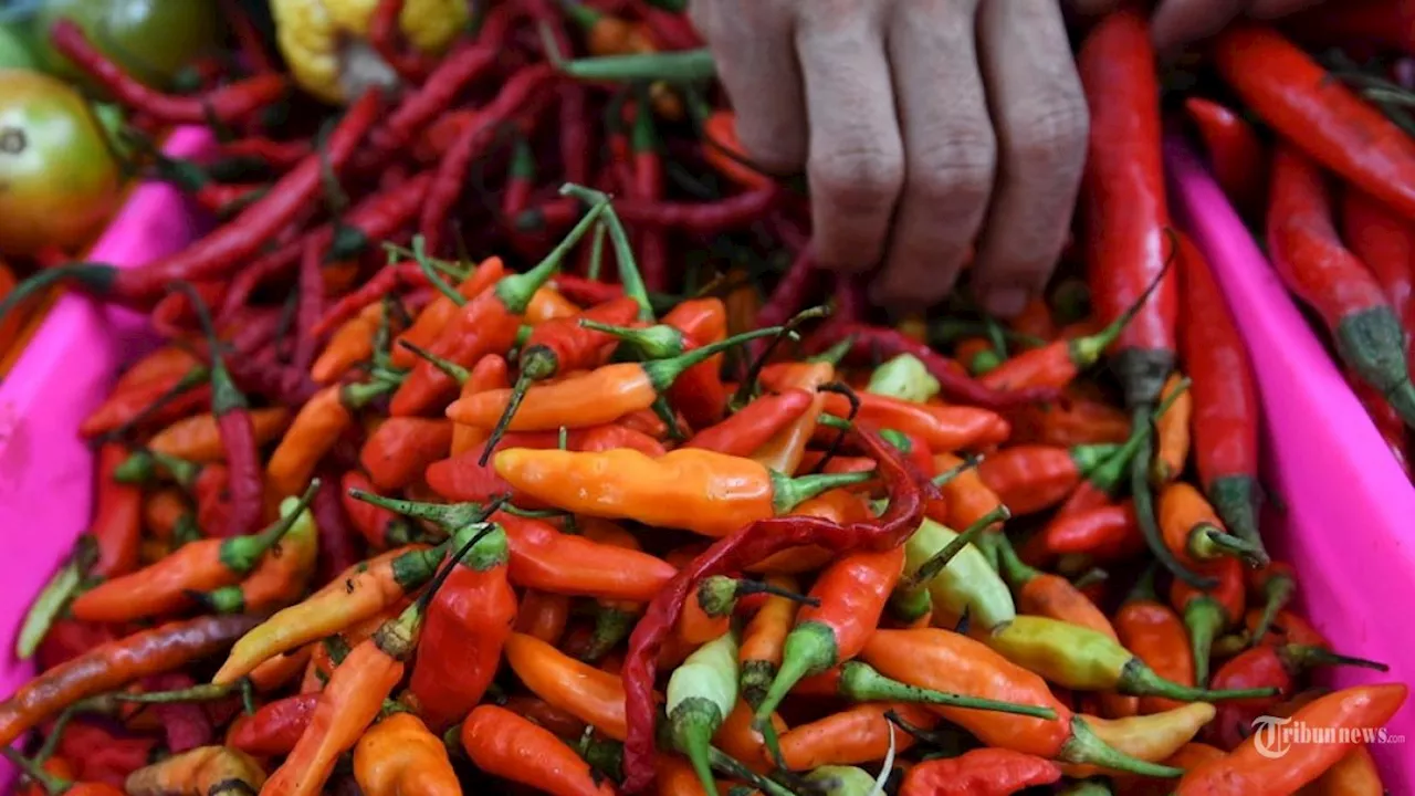 Sehari Jelang Lebaran 2024, Harga Cabai Naik, Rawit Merah Rp 58.300 Per Kg