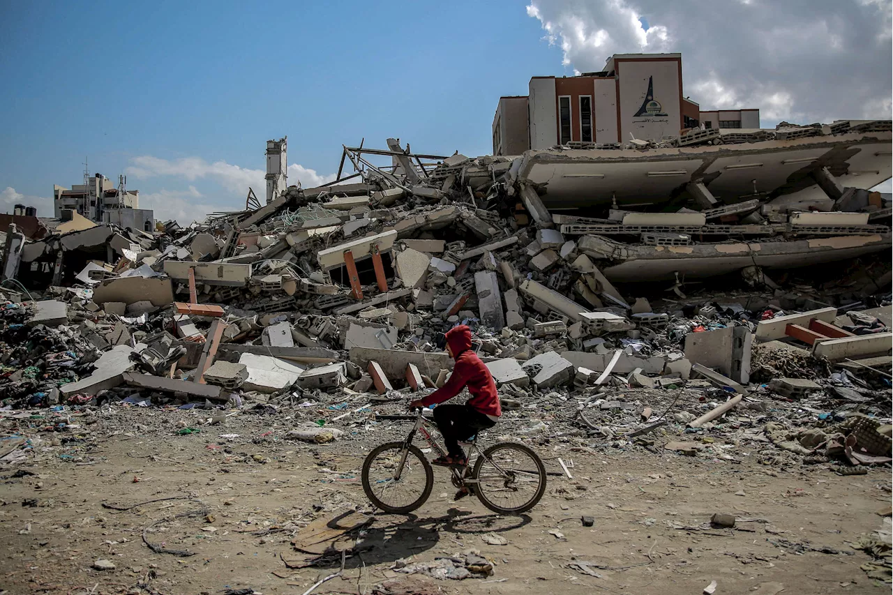 Over 1,600 Academics Sign Letter Condemning Israel’s Scholasticide in Gaza