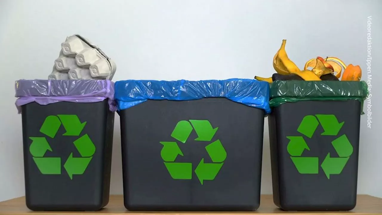 Richtiges Recycling von Altpapier