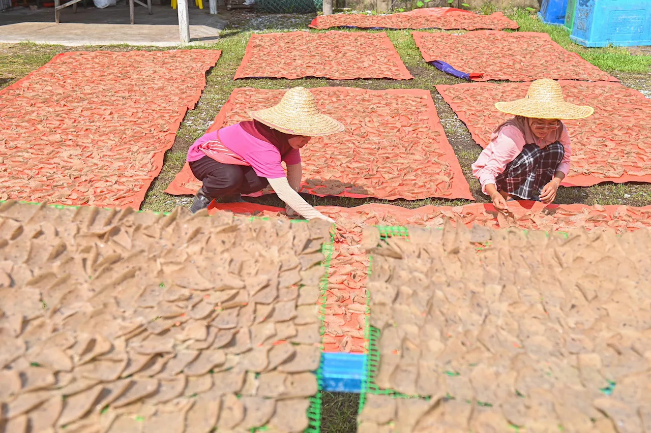 Muslims in Terengganu to Celebrate Aidilfitri in Hot Weather