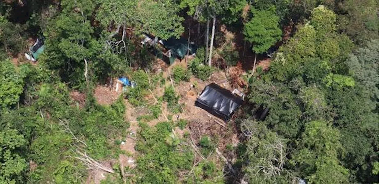 Operação contra garimpo em terra Yanomami explode helicóptero e prende um